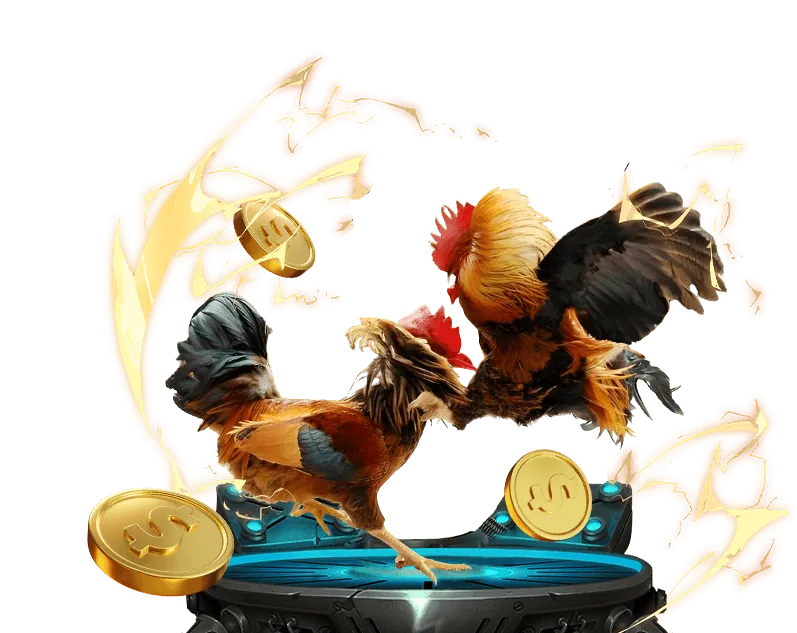 Hướng dẫn đặt cược đá gà shbet team